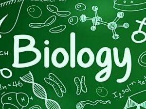 sat biology tutor