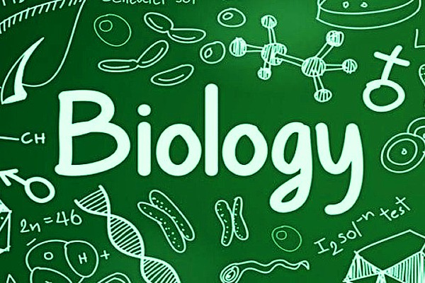 SAT Biology (Product Image) sat biology tutor