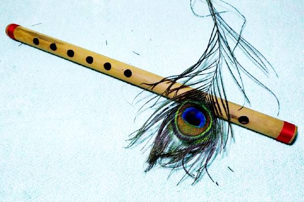 Flute (Product Image) flute tutor
