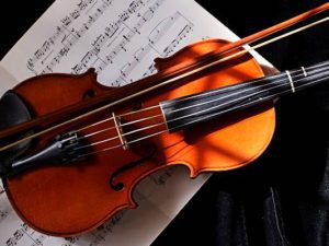indian violin classes