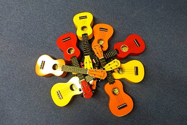 Ukulele (Product Image) ukulele class