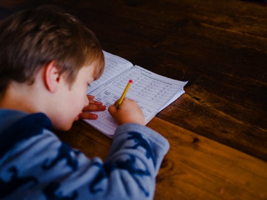 Child's Primary Learning Style Childs Primary Learning Style