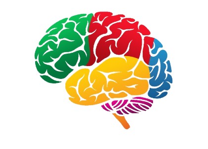 Improves memory How homework helps child's education