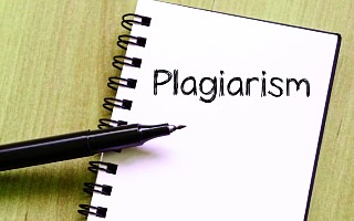 13. Plagiarism 13. Plagiarism