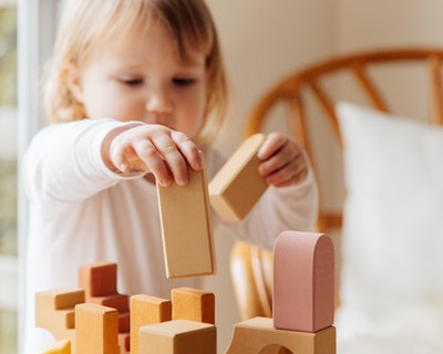 Brain development Brain development 2