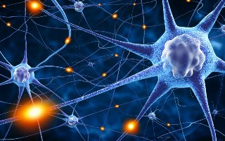 brain function
