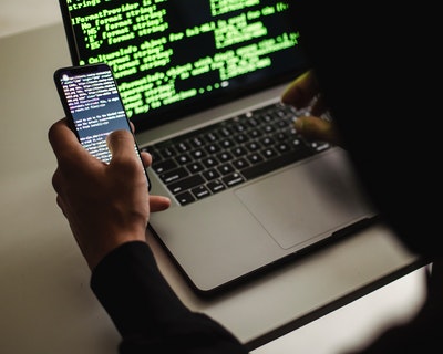 web developer web developer 1