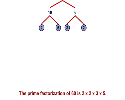 21 Factor Trees