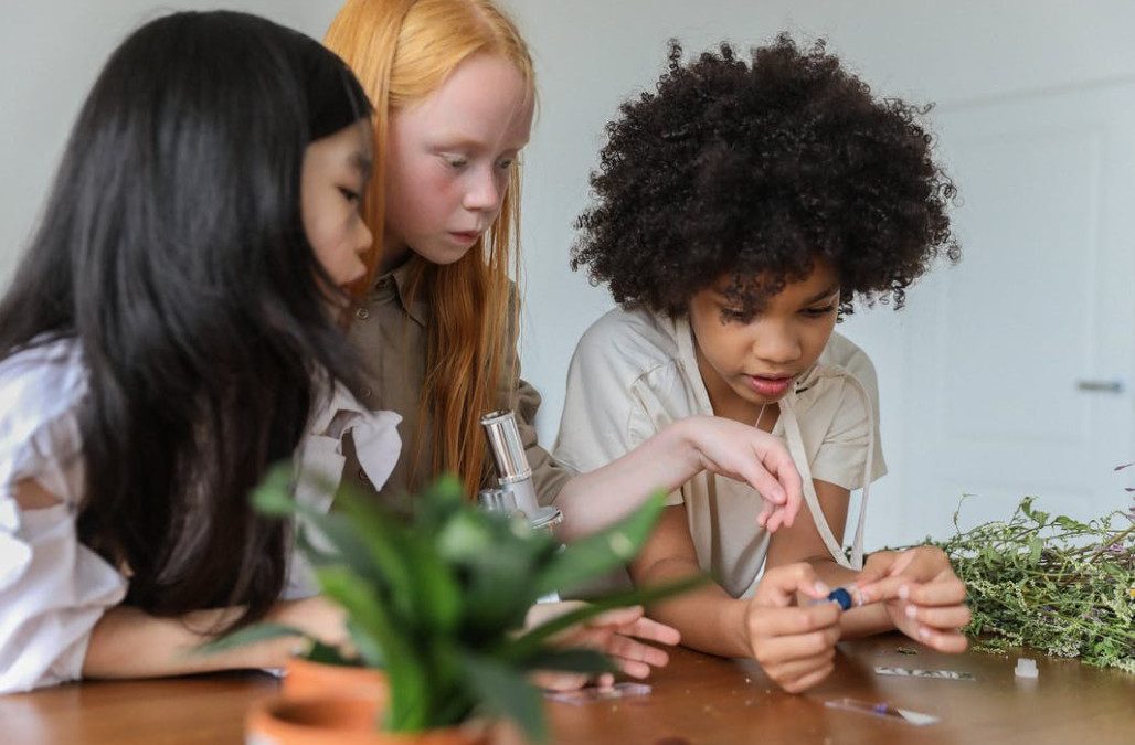 Blogs 1 Effective ways to make science learning more enjoyable