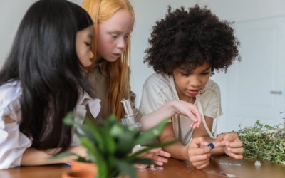 Effective ways to make science learning more enjoyable
